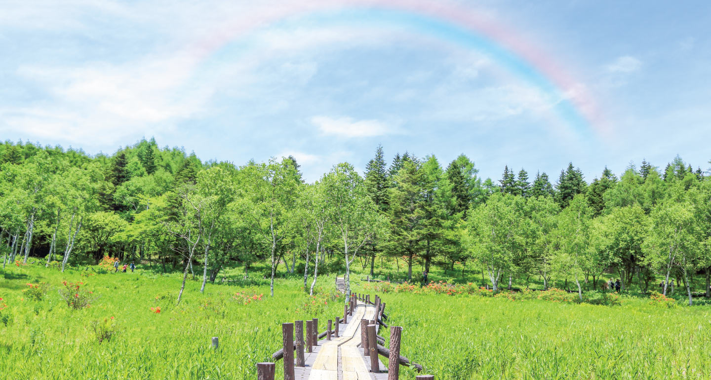 葬儀保険「千の風恵」